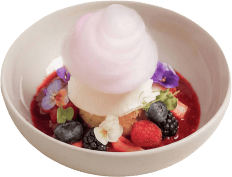 Panna Cotta